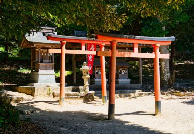 Shirasu Tapınağı - Takashima City, Shiga Bölgesi, Japonya 'da bir türbe