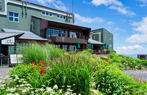 Arka planda bir dağ olan manzara