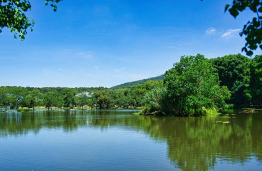 Nanjing 'deki botanik bahçesi.