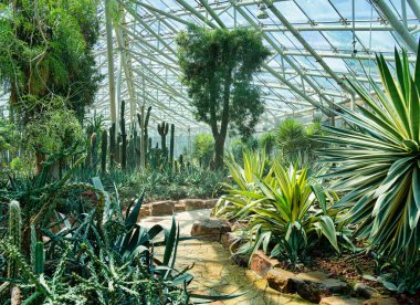 Nanjing 'deki botanik bahçesi.