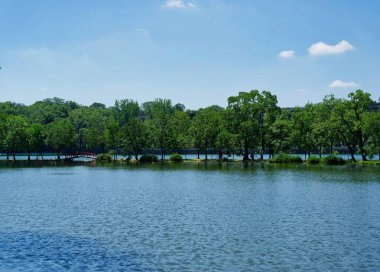 Nanjing 'deki botanik bahçesi.