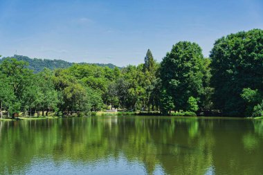 Nanjing 'deki botanik bahçesi.