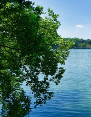 Nanjing 'deki botanik bahçesi.
