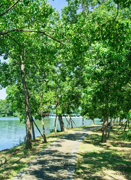 Nanjing 'deki botanik bahçesi.