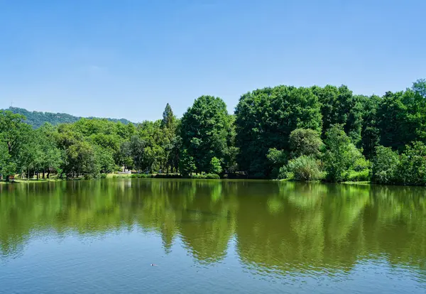 Nanjing 'deki botanik bahçesi.