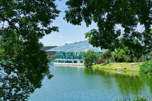 Nanjing 'deki botanik bahçesi.