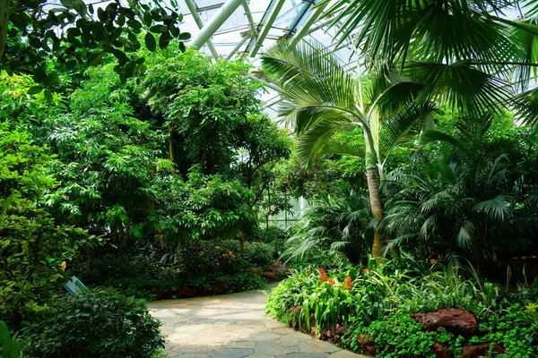 Nanjing 'deki botanik bahçesi.