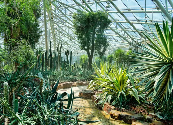 Nanjing 'deki botanik bahçesi.