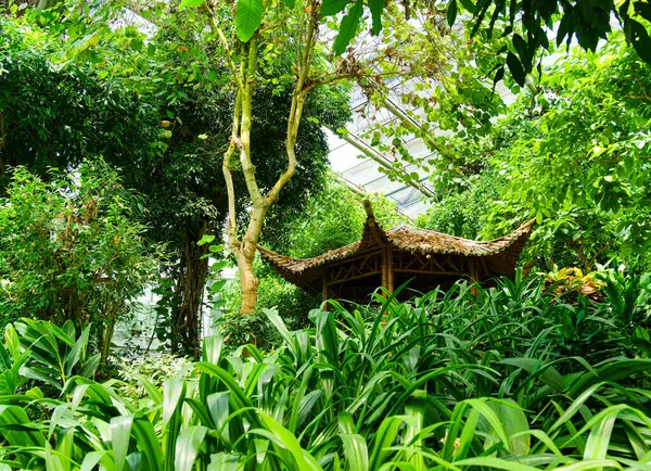 Nanjing 'deki botanik bahçesi.