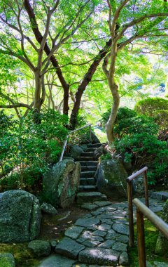 The bamboo forest at Kamakura Hokokuji Temple
