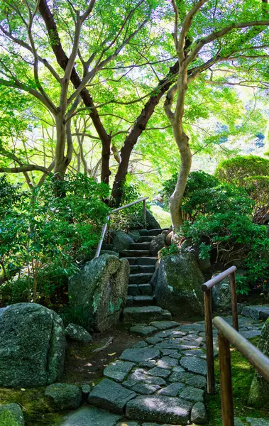 The bamboo forest at Kamakura Hokokuji Temple