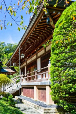 The bamboo forest at Kamakura Hokokuji Temple