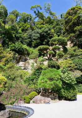 The bamboo forest at Kamakura Hokokuji Temple