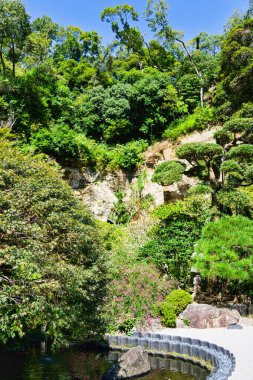 The bamboo forest at Kamakura Hokokuji Temple