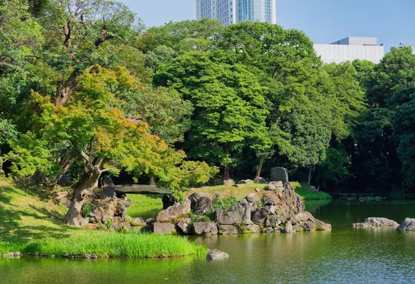 Koishikawa Korakuen in late Summer - A traditional Japanese garden
