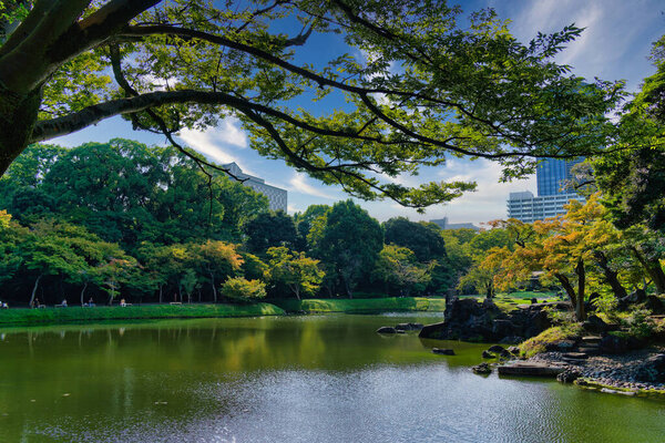 Koishikawa Korakuen in late Summer - A traditional Japanese garden