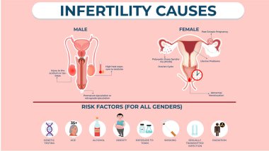 Prostat kanseri prostat bezini etkileyen yaygın bir erkek kanseridir. Belirtileri öğrenmek burada tedaviye ve önleme ipuçlarına neden olur.