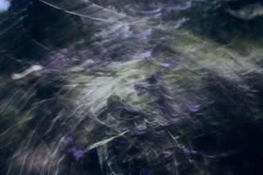 Çiçek Hareketi - koyu yeşil bir arkaplan karşısında mor lavantanın soyut bir bulanıklığı. Yavaş bir deklanşör ve hassas kamera hareketi çiçekleri yumuşak, parlak kurdelelere dönüştüren çapraz çizgiler yaratır. Film tahılları analog, resmedilmiş bir dokuya sahiptir..