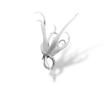 Üç boyutlu bir fantezi çiçeği ve beyaz bir sıralı çiçek.