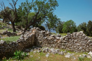 Arkeolojik taş duvar kalıntıları Akdeniz 'in dört bir yanına bitkilerle saçılmış.