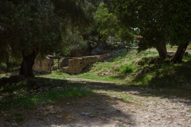 Kazılmış antik taş yollar ve Akdeniz ağaç tepe örtüsünün altındaki duvar temelleri