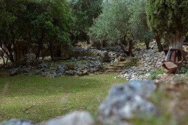 Arkeolojik kazı çalışmaları, arka planda dağınık kayalar ve modern ekipmanlarla antik taş temelleri gösteriyor.
