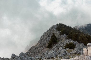 Kireçtaşı dağ sırtı, sürekli yeşil ağaçlar hareket eden bulutlar ve sisle kısmen gizlenmiş.