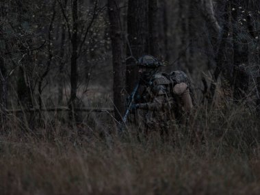 Askeri askerler eğitim sırasında orman ortamında taktiksel bir hareket gerçekleştiriyorlar.