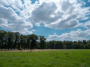 Ağaçların çitleri ve kırsal alanda mavi gökyüzü olan açık yeşil çayır manzarası
