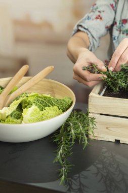 Savoy lahanası ve aşçılık aletleriyle bitki bahçesinden ellerimle kekik topluyorum.