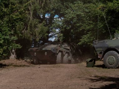 Ormana yerleştirilmiş askeri araçlar, doğal kamuflaj ve gizlenme araçları.