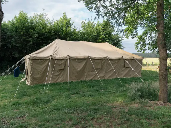 Orman açıklığında kamp için bej rengi bir çadır kurulmuş.