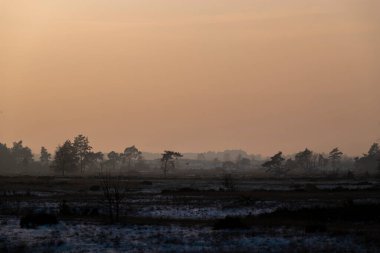 Atmosferik ısıtmalı arazi şafak vakti yuvarlanan tepeler ve altın sisli aydınlatmalarla