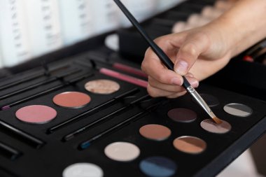 Profesyonel makyaj sanatçısı hassas fırça kullanarak kozmetik paletinden renkler seçiyor