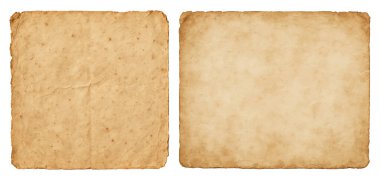 Ancient old parchment paper texture background with rough vintage torn edges