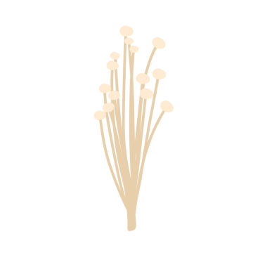Enoki mantarlarının resmi. Düz dizayn El Enoki mantar çizimi. Yenilebilir Enoki mantar bitkisinin resmi 