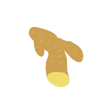 Zencefil çizimi. Düz dizayn zencefil çizimi. Zencefilli bitki çizimi. Bitki çizimi 