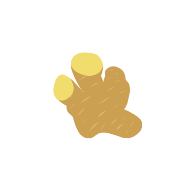 Zencefil çizimi. Düz dizayn zencefil çizimi. Zencefilli bitki çizimi. Bitki çizimi 