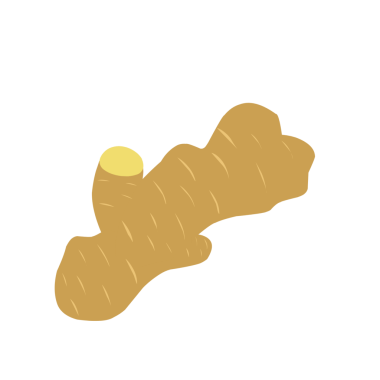 Zencefil çizimi. Düz dizayn zencefil çizimi. Zencefilli bitki çizimi. Bitki çizimi 