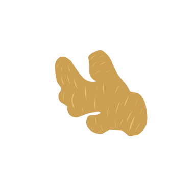 Zencefil çizimi. Düz dizayn zencefil çizimi. Zencefilli bitki çizimi. Bitki çizimi 