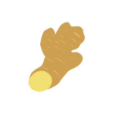 Zencefil çizimi. Düz dizayn zencefil çizimi. Zencefilli bitki çizimi. Bitki çizimi 