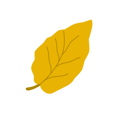 Sonbahar yaprağı çizimi. El çizimi sonbahar yaprağı çizimi. Sarı yaprak çizimi. Yaprak Illustration seti