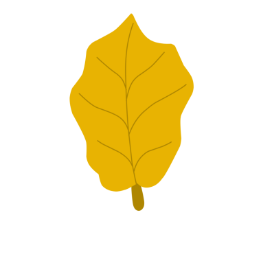 Sonbahar yaprağı çizimi. El çizimi sonbahar yaprağı çizimi. Sarı yaprak çizimi. Yaprak Illustration seti