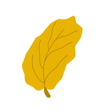 Sonbahar yaprağı çizimi. El çizimi sonbahar yaprağı çizimi. Sarı yaprak çizimi. Yaprak Illustration seti