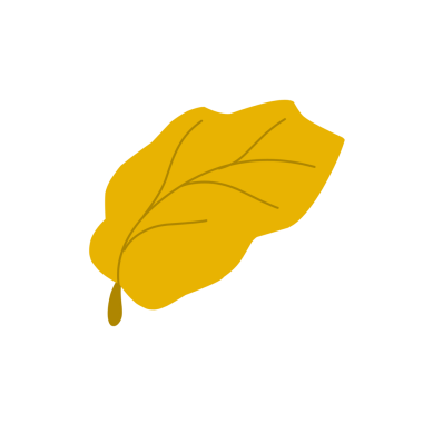 Sonbahar yaprağı çizimi. El çizimi sonbahar yaprağı çizimi. Sarı yaprak çizimi. Yaprak Illustration seti