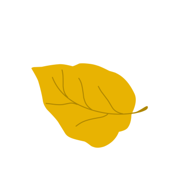 Sonbahar yaprağı çizimi. El çizimi sonbahar yaprağı çizimi. Sarı yaprak çizimi. Yaprak Illustration seti