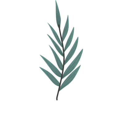 Minimalist yaprak çizimi. El yapımı yaprak çizimi. Davetiye için yaprak dekoru. Yaprak illüstrasyonu 