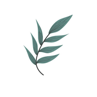 Minimalist yaprak çizimi. El yapımı yaprak çizimi. Davetiye için yaprak dekoru. Yaprak illüstrasyonu 