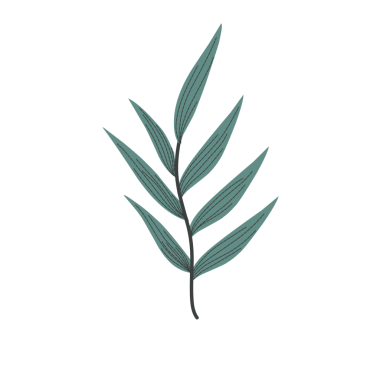 Minimalist yaprak çizimi. El yapımı yaprak çizimi. Davetiye için yaprak dekoru. Yaprak illüstrasyonu 