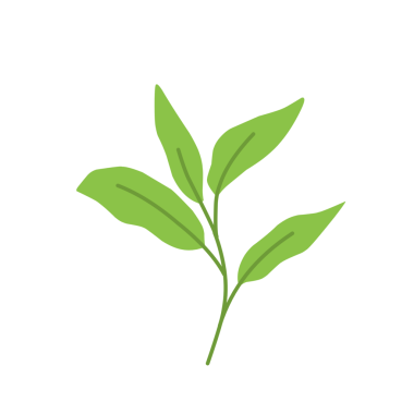 Basit yeşil yaprak çizimi 